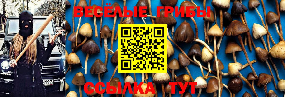 Псилоцибиновые грибы ЛСД  Вход с VPN  Димитровград 